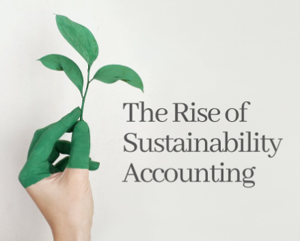 Sustainability Reporting: Santa Monica Accounting Key Trend in Shaping Modern Accounting Practices